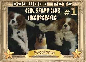 excellence-award-cebu-stamp-club.jpg